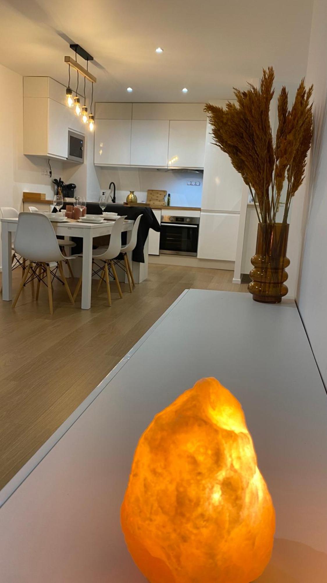 Nice And Cosy Flat Near Geneva Or Annecy Bellegarde-sur-Valserine Εξωτερικό φωτογραφία